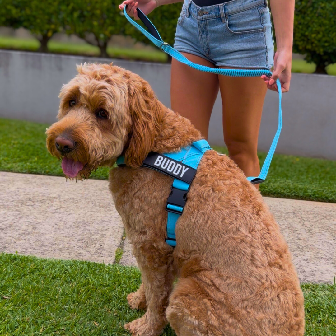 Black Baby Blue Pink Red