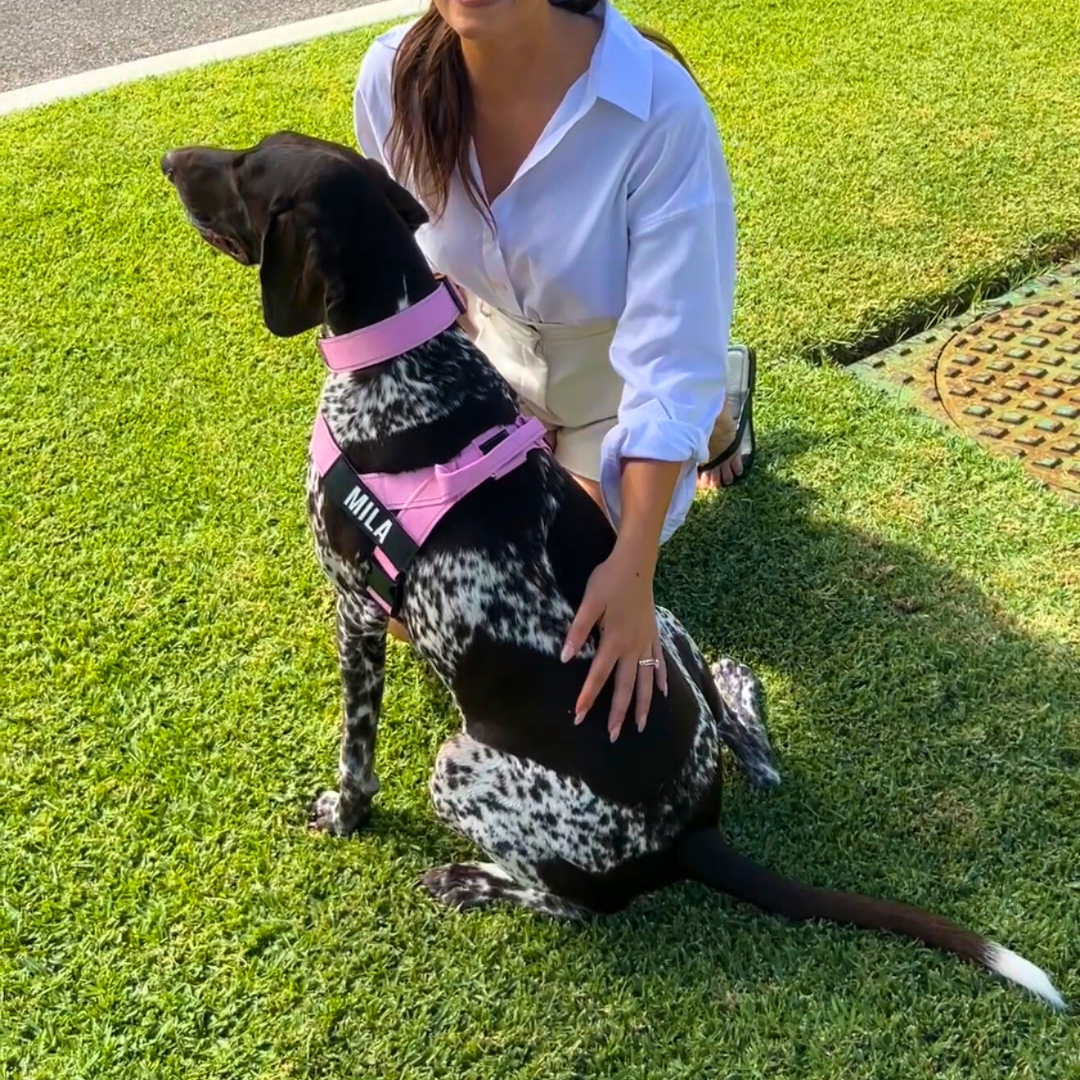 Black Baby Blue Pink Red