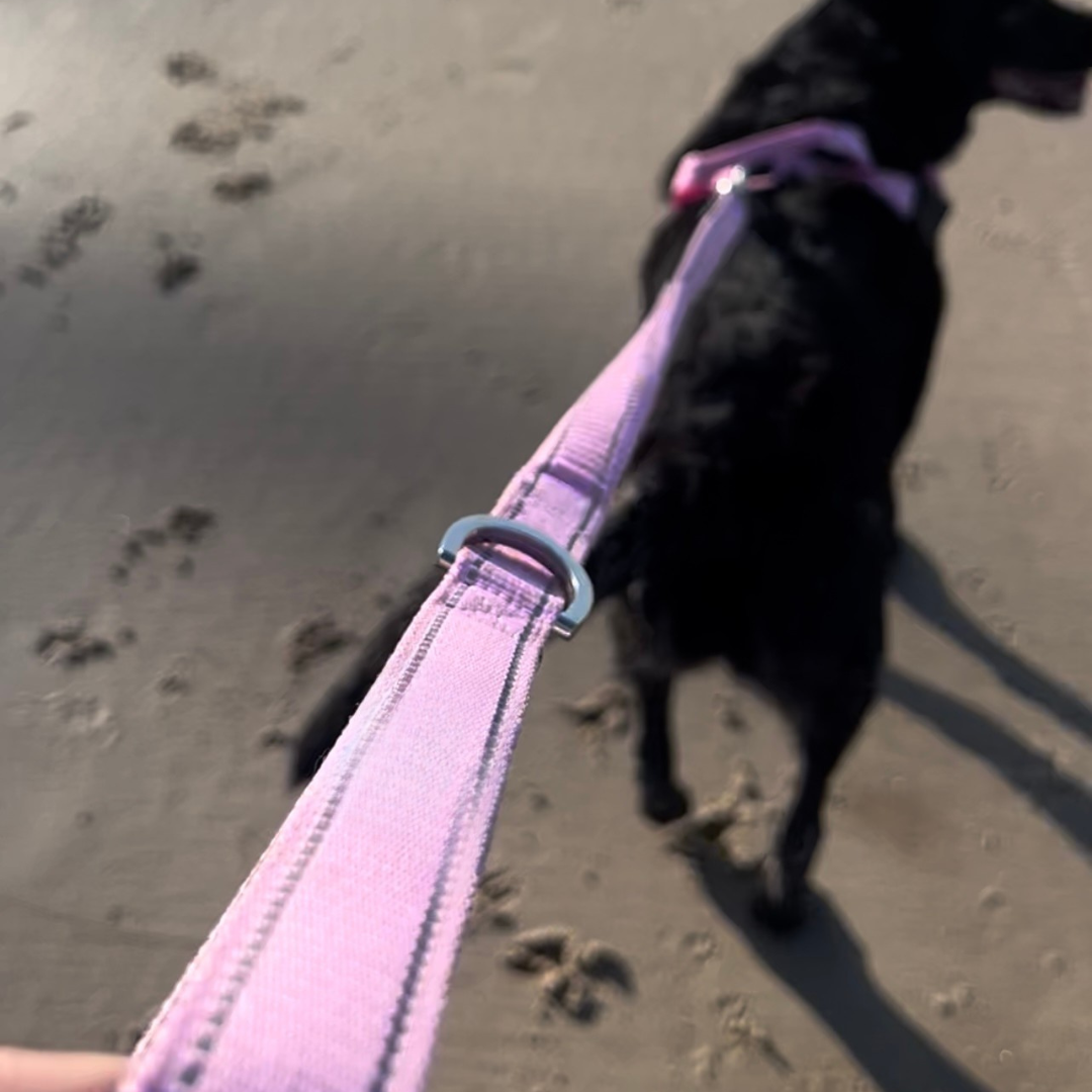 Pink Black Baby Blue Red