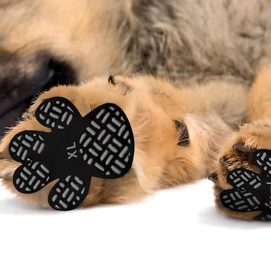 Dog Paw Protectors